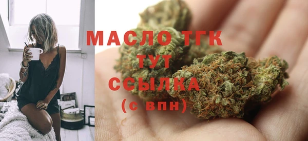 ECSTASY Богданович
