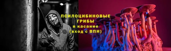 сатива Волоколамск