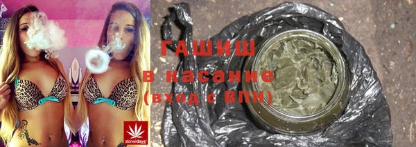сатива Волоколамск
