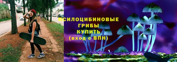 сатива Волоколамск