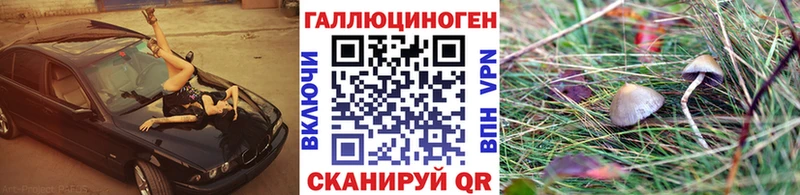 Галлюциногенные грибы MAGIC MUSHROOMS  маркетплейс как зайти  Данков 