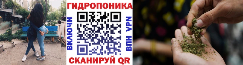Бошки марихуана OG Kush Данков